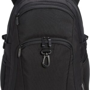 Amazon Basics Travel Laptop Backpack for 15.6 inch Laptop, Black